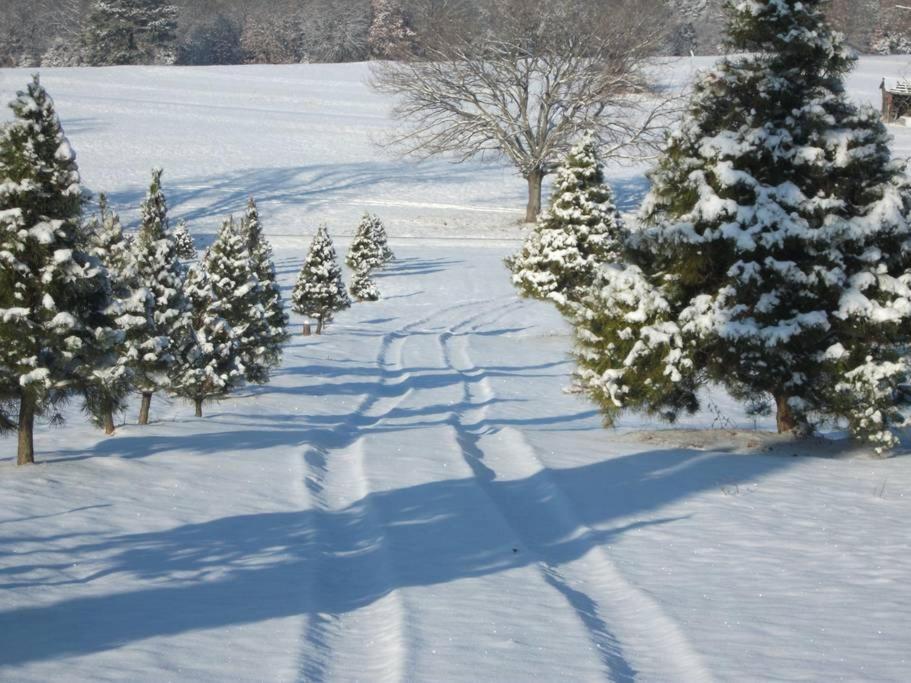 Rural Life On A Real Christmas Tree Farm! Hallmark Experience! Ozark Exterior foto