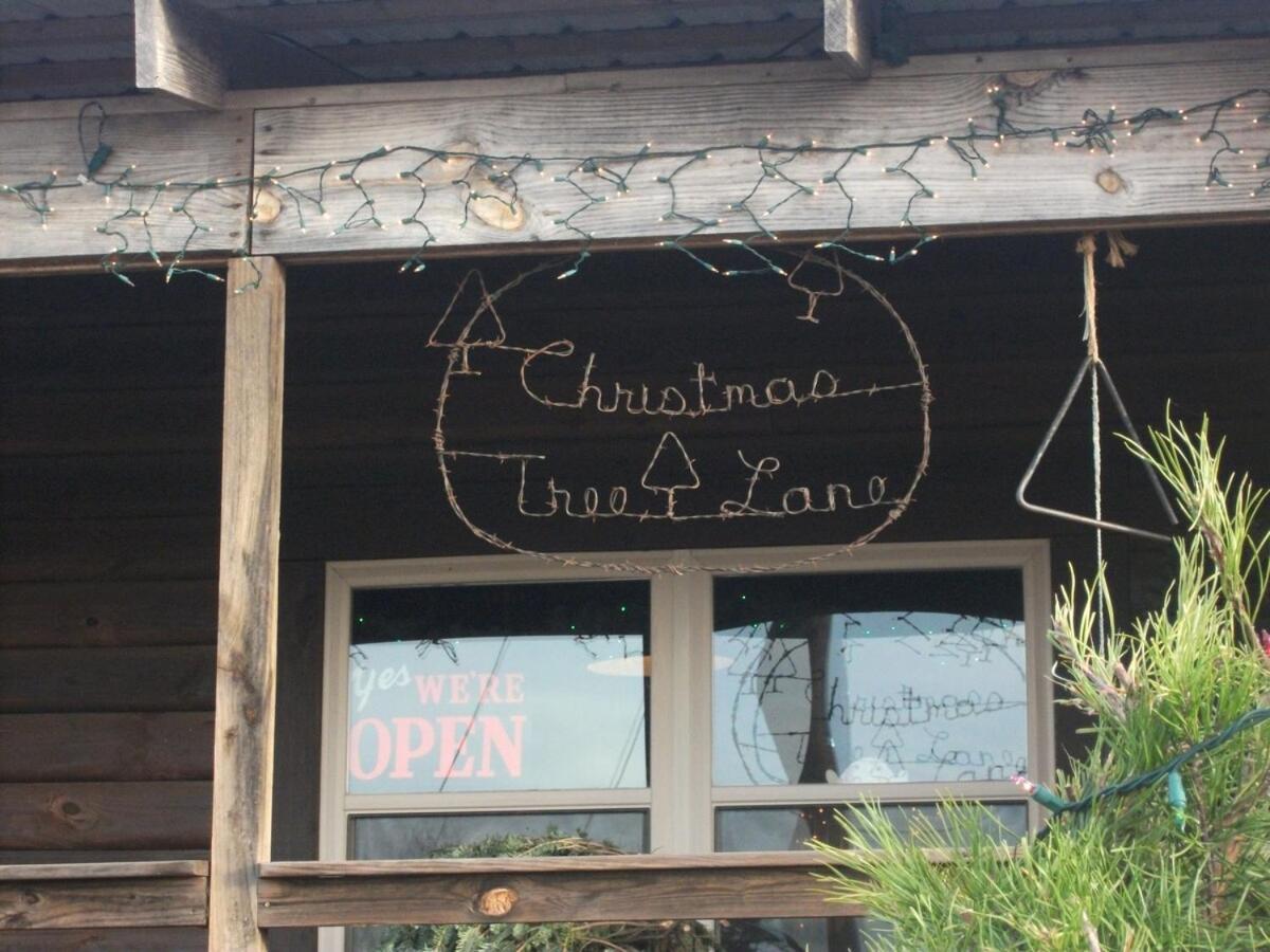 Rural Life On A Real Christmas Tree Farm! Hallmark Experience! Ozark Exterior foto